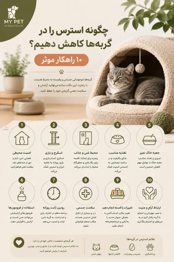 این تصویر یک اینفوگرافیک آموزشی درباره کاهش استرس در گربه‌ها است. در سمت راست، یک گربه خاکستری با آرامش داخل یک جای خواب نرم و راحت استراحت می‌کند. در سمت چپ و پایین تصویر، ۱۰ راهکار برای کاهش استرس گربه مانند ایجاد محیط امن، بازی روزانه، حفظ برنامه منظم، تغذیه مناسب، تمیز نگه داشتن ظرف خاک، مراجعه به دامپزشک و تعامل آرام با آیکون‌های ساده نمایش داده شده‌اند. لوگوی MY PET در گوشه بالا سمت چپ قرار دارد و طراحی با رنگ‌های کرم و زیتونی، حس آرامش، امنیت و مراقبت از گربه را القا می‌کند.